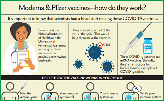 News Article: Moderna & Pfizer Vaccines--how do they work?